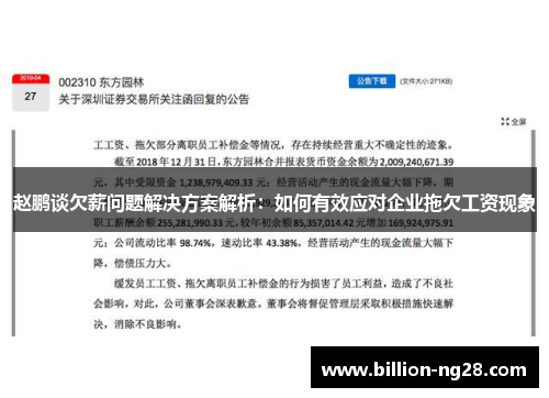 赵鹏谈欠薪问题解决方案解析：如何有效应对企业拖欠工资现象